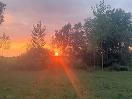 Beautiful sunset