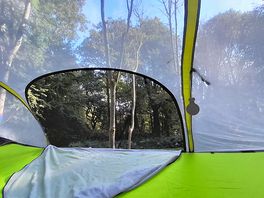 View from tree tent