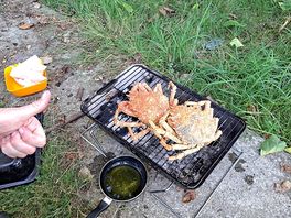 Lovely fresh crab from the local supermarket