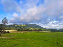 Camping field