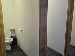 Clean toilets with toilet paper