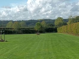 Clean peaceful pitch