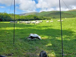 This was my view in brambles field