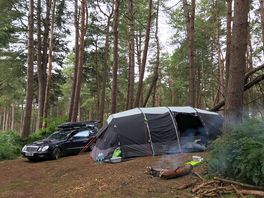 Real woodland camping