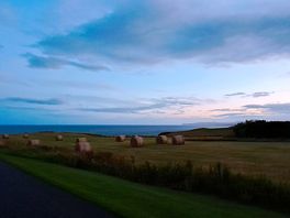 Lovely view