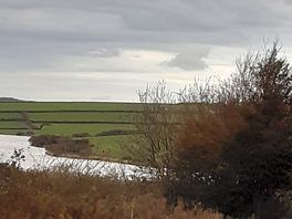 View over the lake.