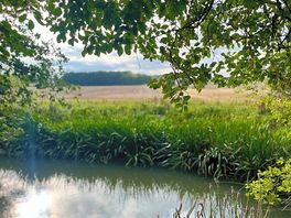Wild swimming