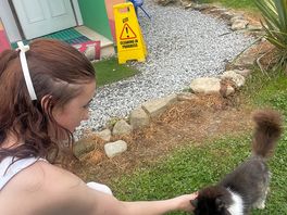 One of the many friendly animals