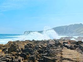 Local beach