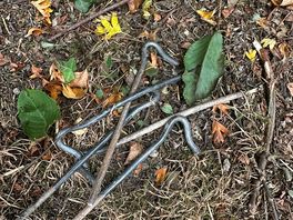 These pegs found around where our vehicle was sited on pitch 21. potential for tyre puncture.