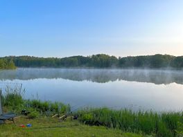 Early morning mist on the lake