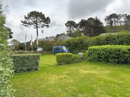 Lush hedging and planting