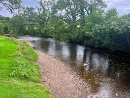 River walk on site