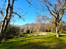 Some of the path and woodland. scenic walks.