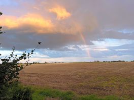 View across adjacent field