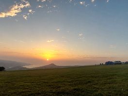 The view