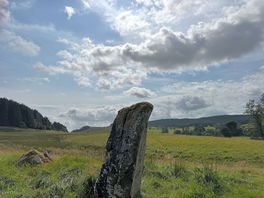 Visit to nearby standing stones