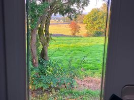 View from my door window - spot the bunny!