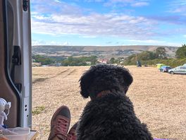 Enjoying the view
