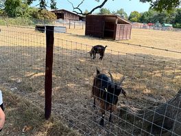 Animal park