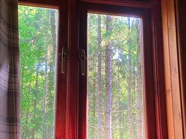 Morning view from the downstairs bedroom in badger hut