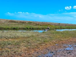 The creek