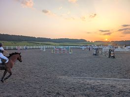 Showjumping in the arena