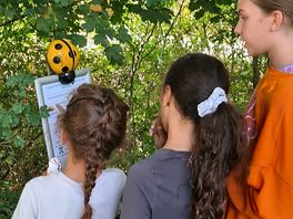 Doing the forest trail