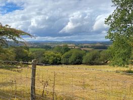 Lovely walks