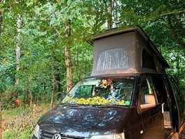 Forest floor pitch