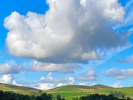 View from the site