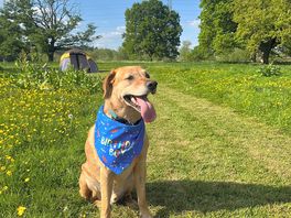 The weekend revolved around our dogs bday. very dog friendly here too!