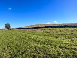 Campsite view