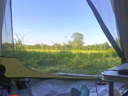 Calm view of the field from tent