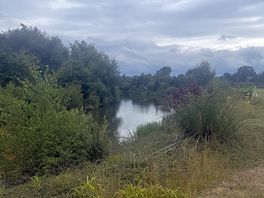 Peaceful
