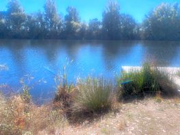 River near campsite. took whilst following the path around