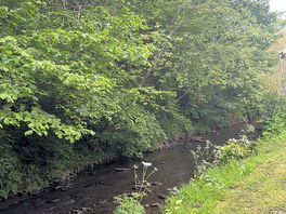 Brook running next to campsite