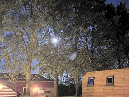 The full moon peaking through the trees on site