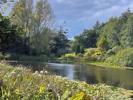 This was the pond on the walk on the campsite. so beautiful.