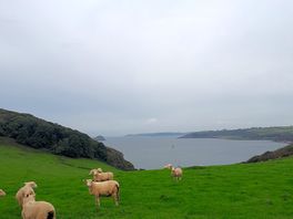 Literally down the hill