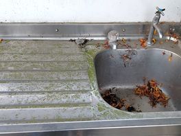 Moulded dish drainer