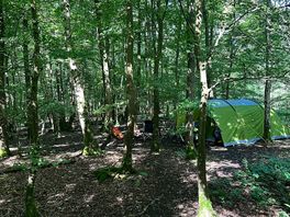 Secluded pitch in amungst the trees