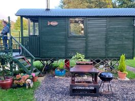 The roach hut