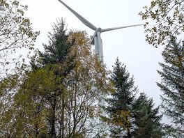 Wind