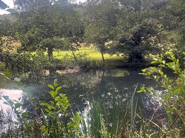 Dartmoor national park