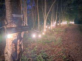 Fairy lights on site