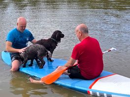First time on a paddle board for my 2 spaniels they loved it.