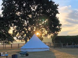Bella the bell tent at sunrise
