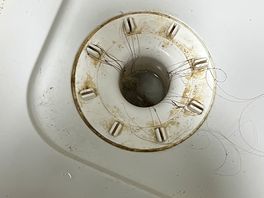Shower trap