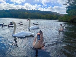 Feeding time